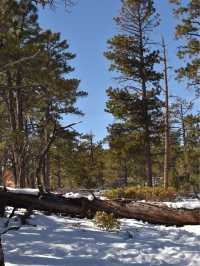 Bryce Canyon winter story❄️☃️🏔️🏜️