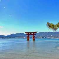 Mystical Serenity: exploring the floating Torii Gate! 🏯✨🌊