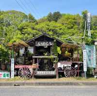 Fukuroda Falls: A Summer Escape in Ibaraki🍃