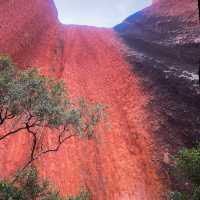 Uluru's Breathtaking Vista