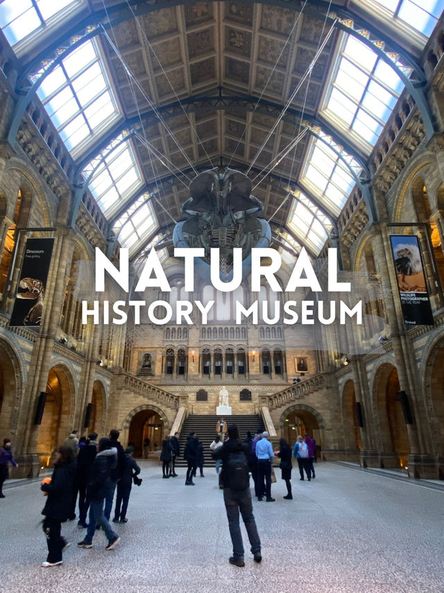 Step Back in Time:Natural History Museum