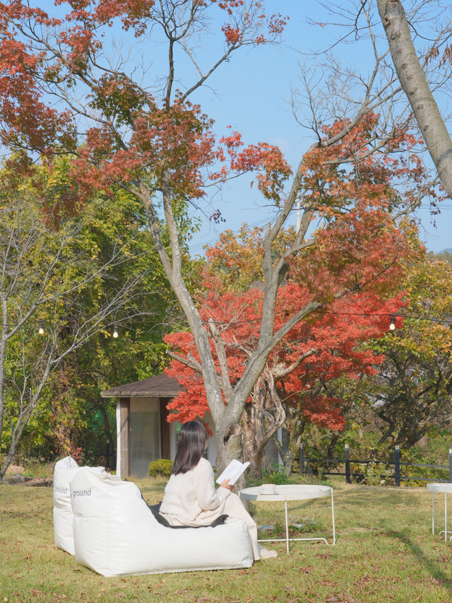 (실시간) 김제 금산사 갔다가 들르면 좋을 단풍 뷰 카페🍁❤️