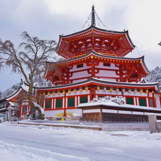 Koyasan #โคยะซัง 高野山 หน้าหนาว