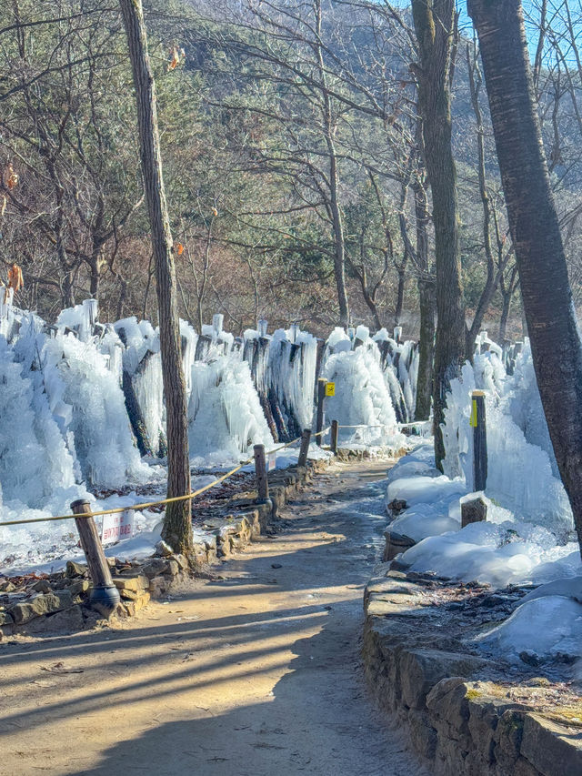 겨울 나들이 가기 좋은 대전 ‘상소동산림욕장’