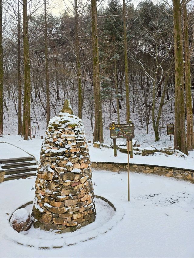 실시간 눈이와서 더 예뻤던 대전 상소동산림욕장💙