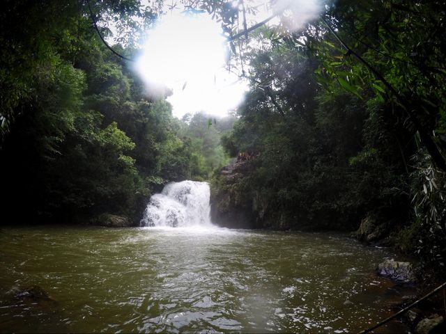 🌊 Da Lat Waterfalls Guide