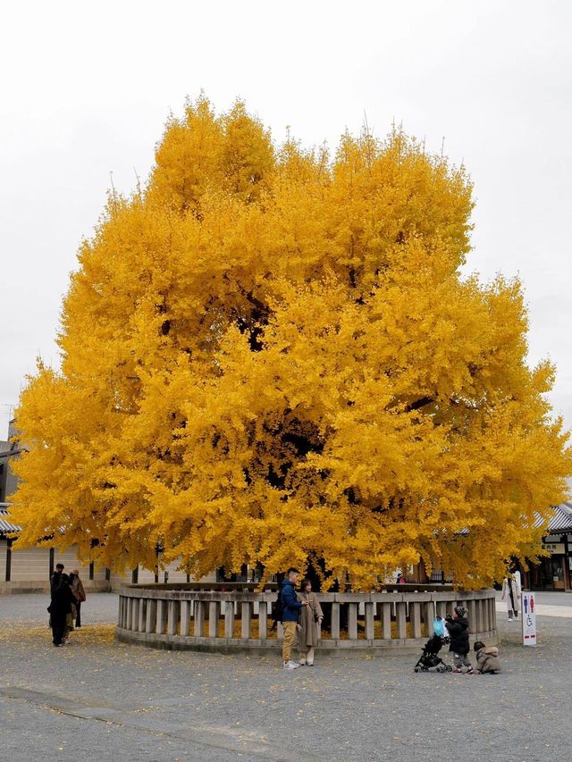 西本願寺