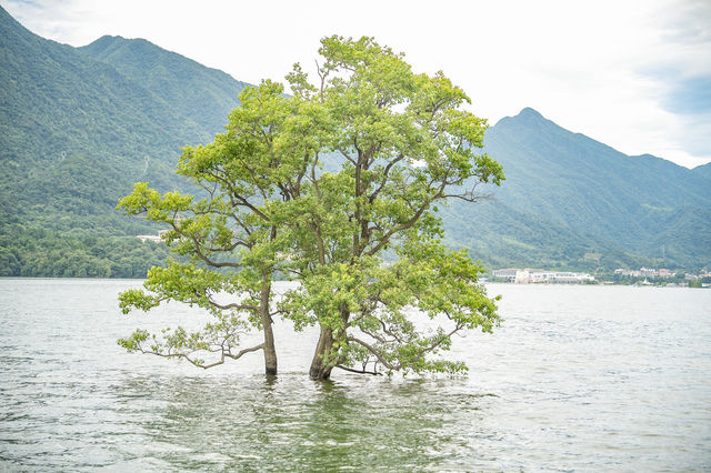 廬山西海｜一湖碧水映千峰，人間仙境在此中