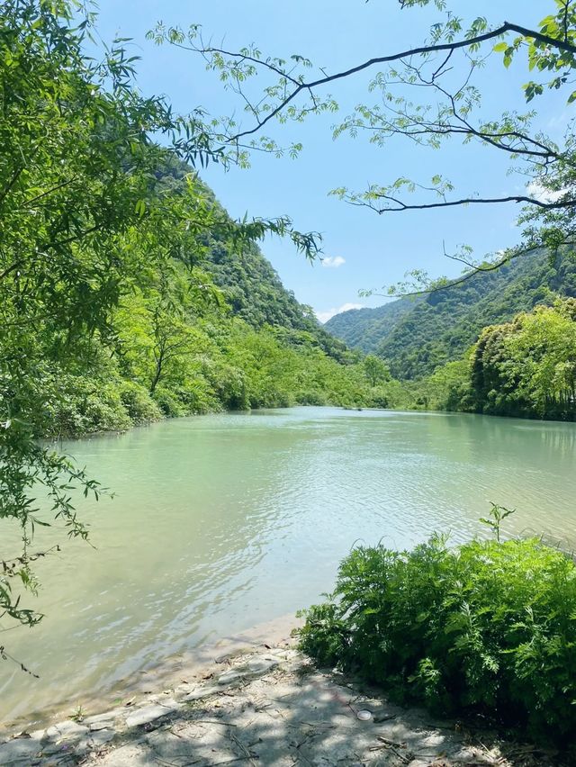 黑山谷|打卡重慶黑山谷風景區