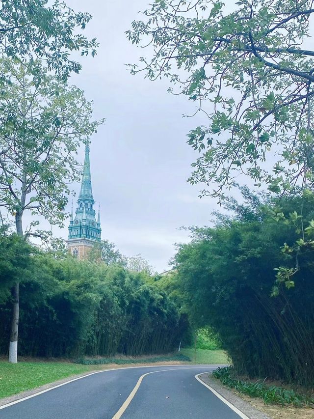 這不是在國外,東莞松山湖真的太美了。。