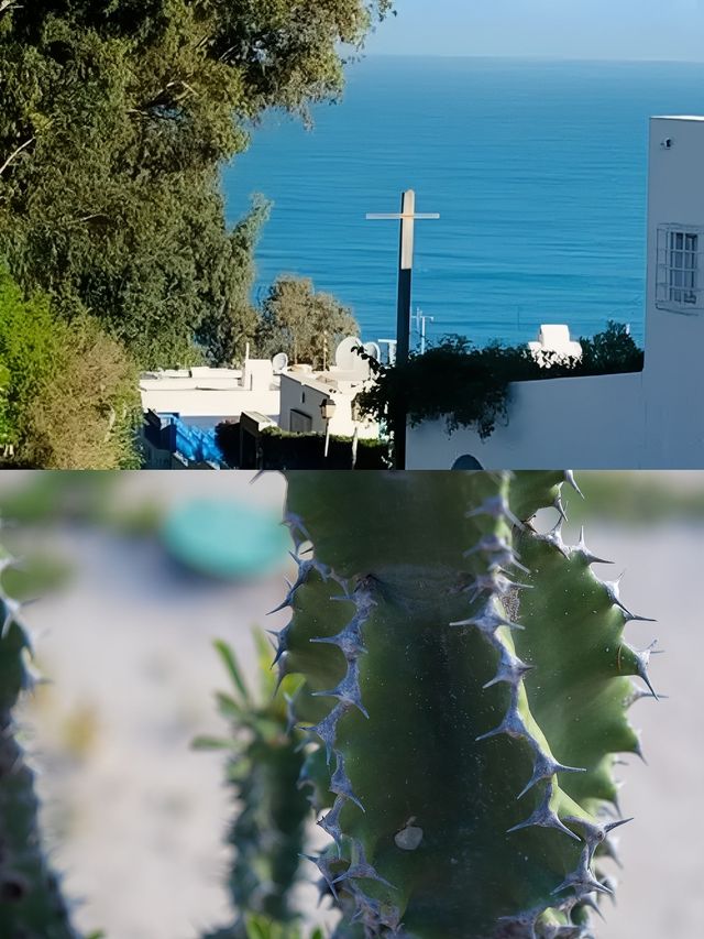 突尼西亞遺珠·吉爾巴島，三日夢幻之旅。