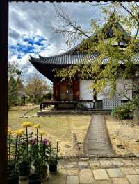 平城京大華嚴寺