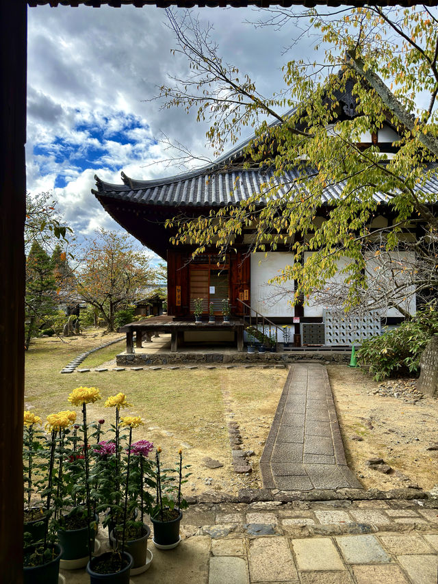 平城京大華嚴寺