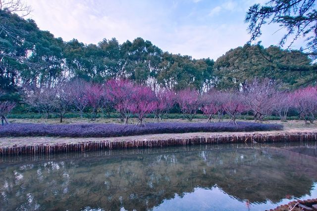 花園式賓館~~東郊賓館