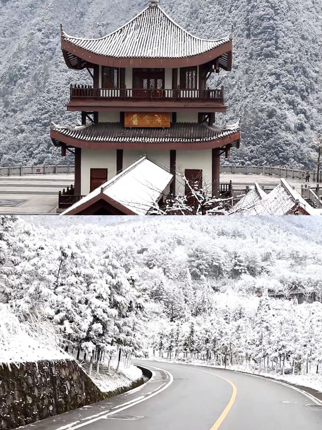 新年！！總要約着好朋友去看一場雪吧