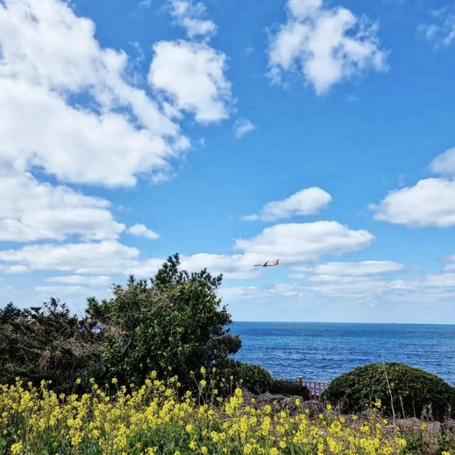 龍頭岩：春天好去處，濟州島地標，交通方便