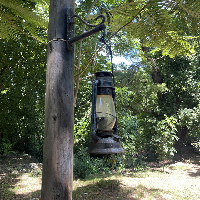 The old tortoise sanctuary in Zanzibar 