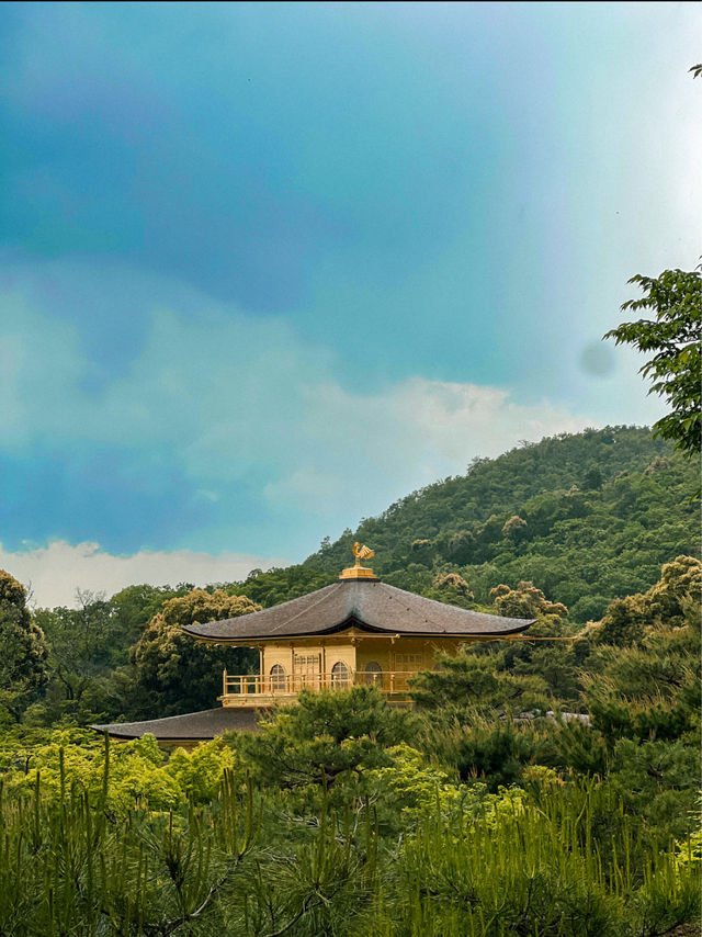 The Golden Pavilion of Kinkaku-ji in Kyoto 🇯🇵