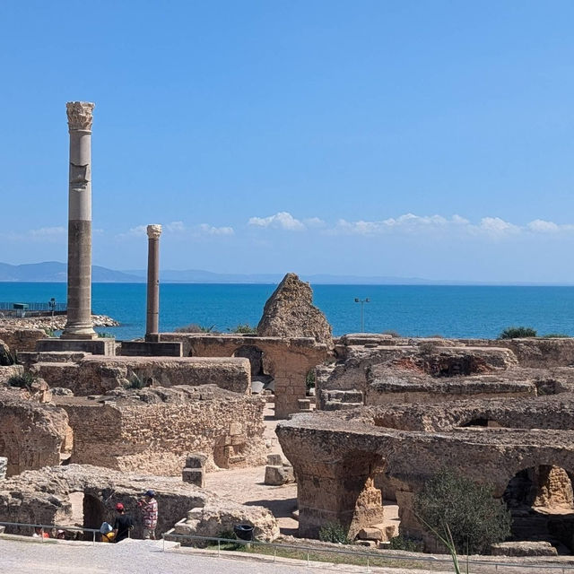 Unveiling Ancient Splendor: Les Ruines de Carthage