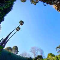 Exploring Nature’s Sunken Garden: Umpherston Sinkhole in Mount Gambier