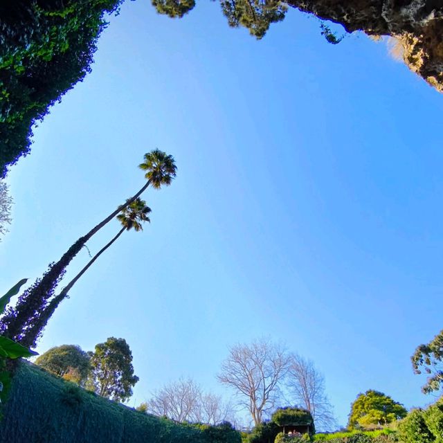 Exploring Nature’s Sunken Garden: Umpherston Sinkhole in Mount Gambier