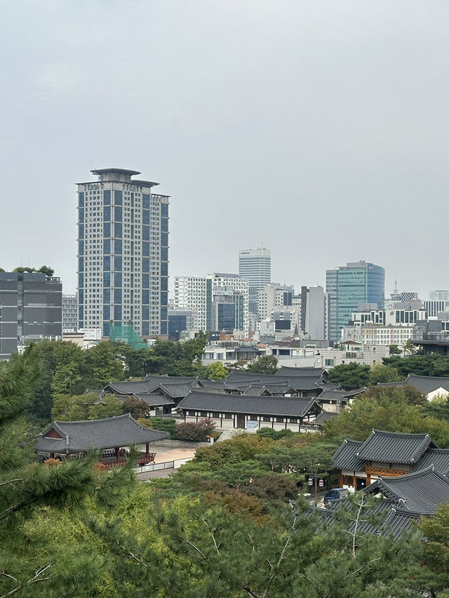 Forest nature feel in the midst of Seoul 