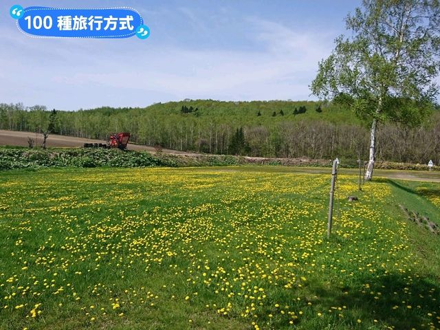 北海道道東自駕遊，8天7夜行程景點分享