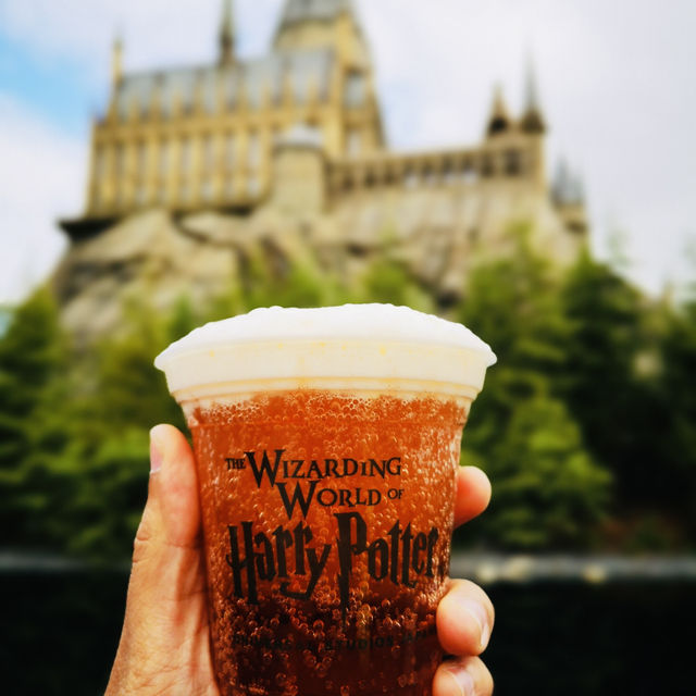 Magical Moments at Hogwarts: Butterbeer, Thrills, and Wizarding Wonders!