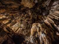 Exploring The Karst of Postojna Cave@Slovenia