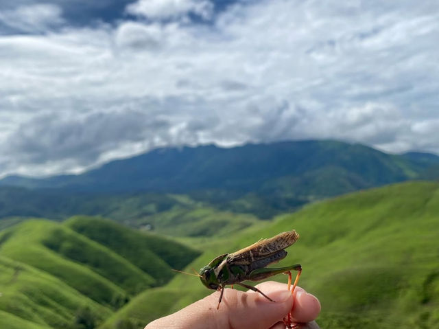 Phou Hua Lon🇱🇦⛰️