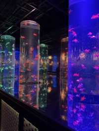 A museum for.....fish? In tokyo!