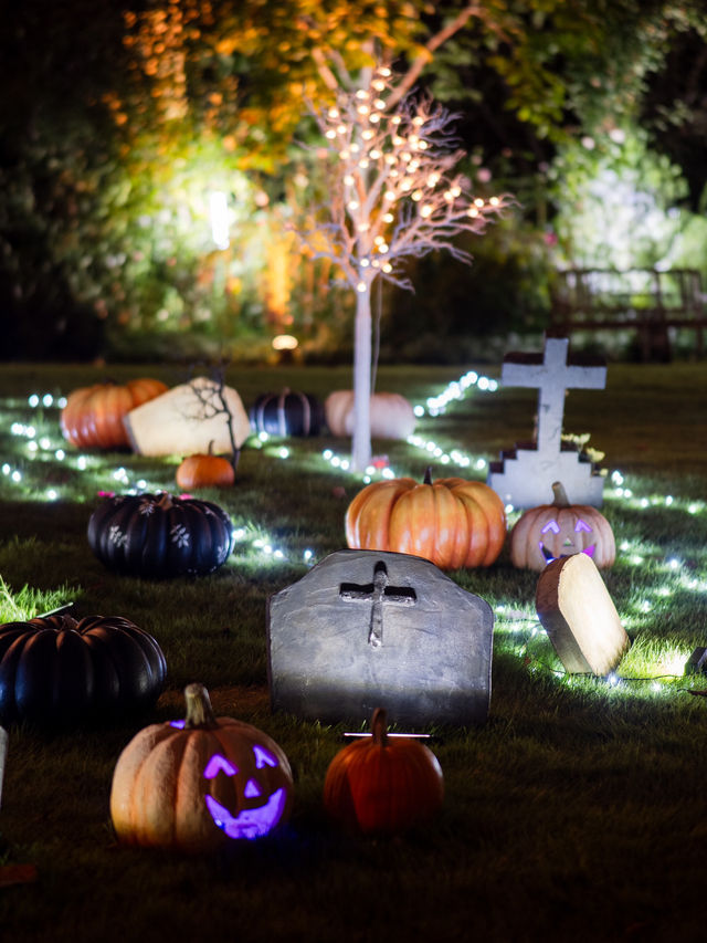 【3日間限定！✨】幻想的でアートなハロウィン・ナイトを横浜で楽しめる！🎃☠️