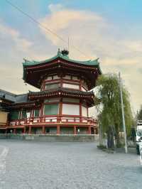 Ueno park in winter❄️