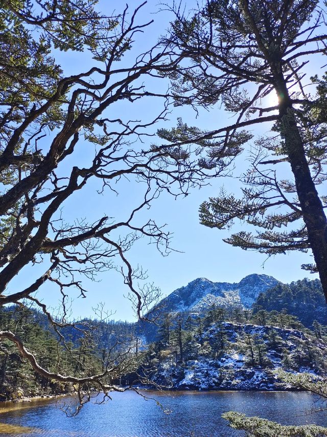 只有到達山頂，才能看見的風景