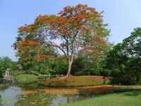 熱帶植物園·百花園——花的海洋。