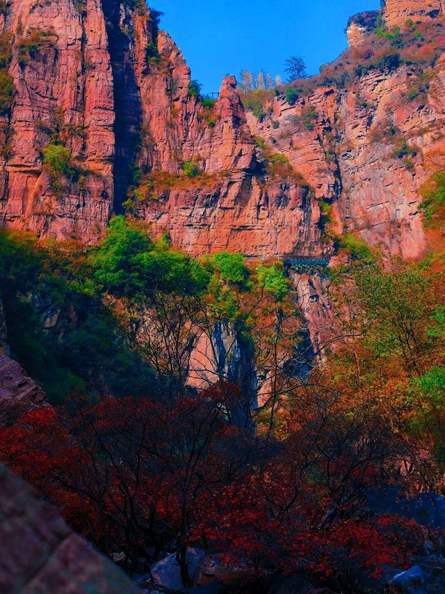 河南寶泉 | 秋韻之美，暢享山水畫卷的旅遊攻略。