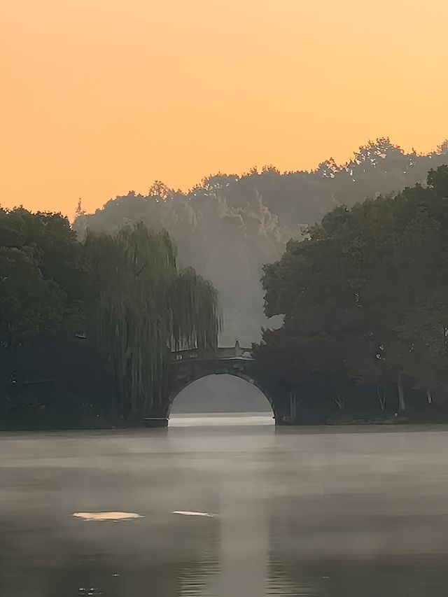 live實拍清晨的花港觀魚也太美了吧