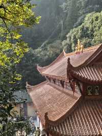 成都周邊｜徒步賞千年古寺 品千年銀杏雨