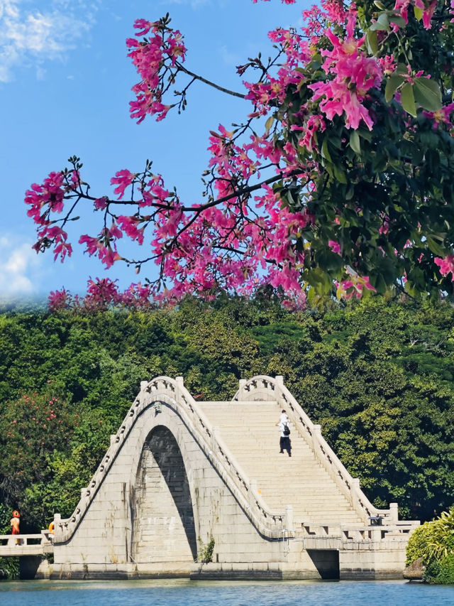 後悔到泉州沒去的十大景點  旅遊必去