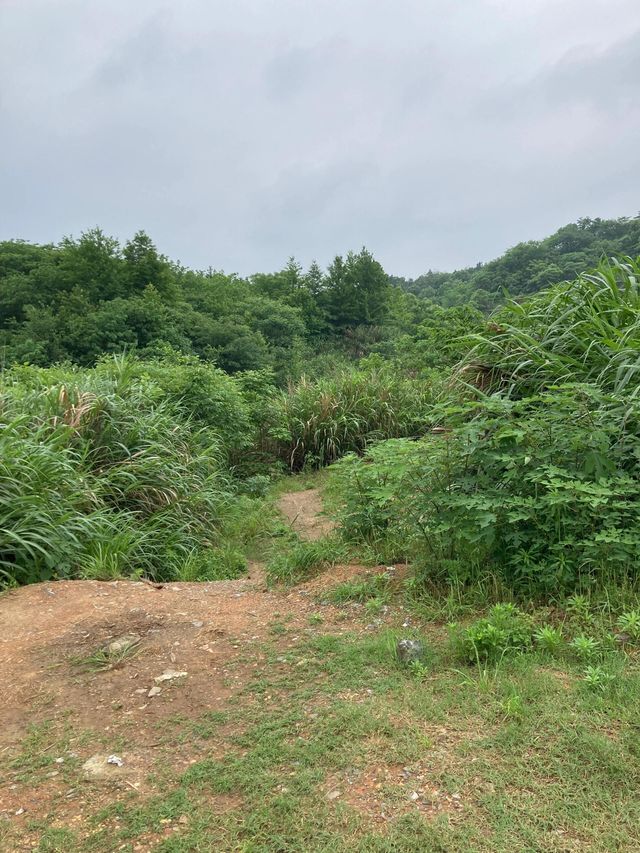 湖南湘潭金霞山森林公園‖天湖美景