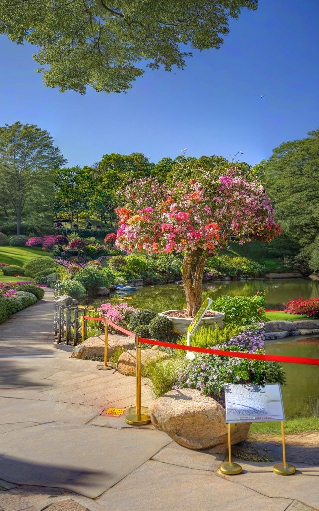 雲蘿植物園，廣州拍照打卡的頂流！