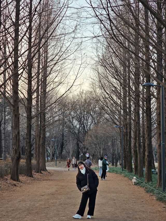 서울에서 힐링하고 싶다면? 서울숲으로