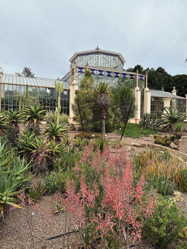 Admiring Colourful Flowers at Botanic Garden