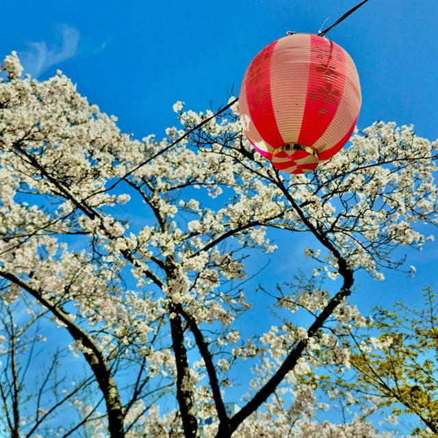 偕楽公園