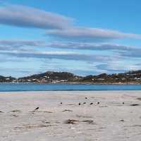 Bicheno Beach @ Tasmania 🇦🇺