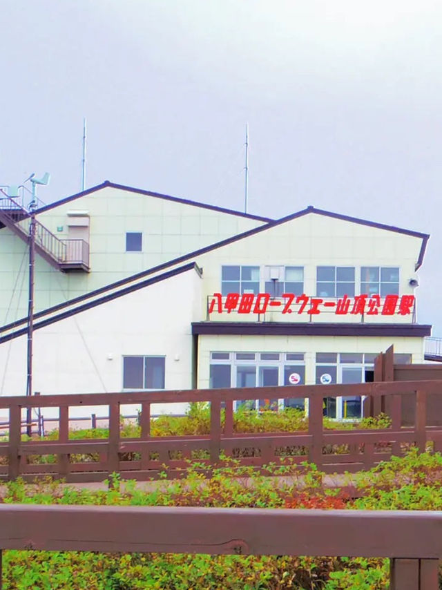 【秋の絶景】紅葉が美しい八甲田ロープウェー🚠⛰🍁