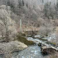 Bulgaria's Gems: Exploring Rila Monastery and Boyana Church