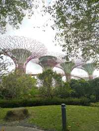 Gardens by the Bay at Night – A Beautiful Cityscape Experience