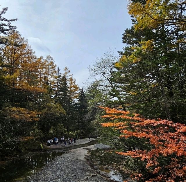 上高地（平湯轉旅遊巴）