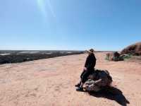 Wave rock with wild flowers